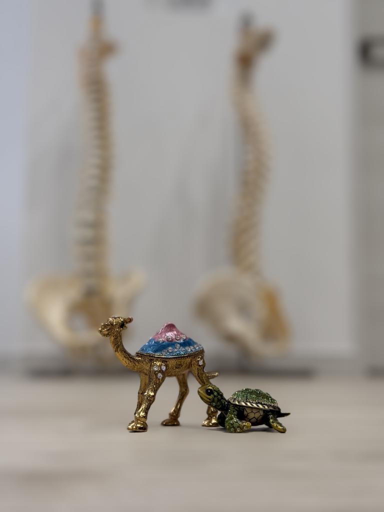 お待ちしております( ◠‿◠ )